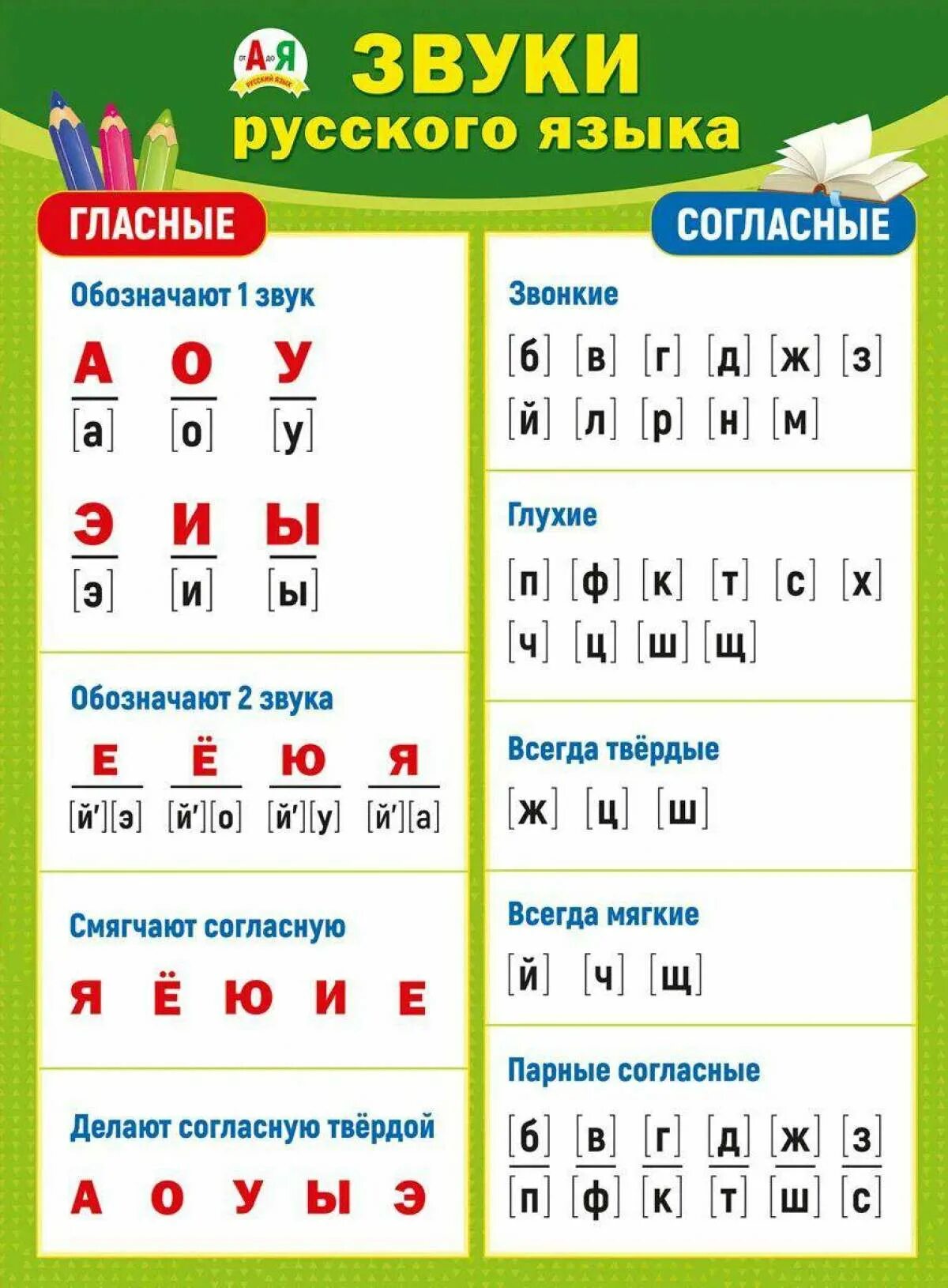 Гласные звуки в русском языке 1 класс таблица. Согласные и гласные звуки русского языка. Согласные и гласные звуки русского языка 2 класс таблица. Звуки гласных букв в русском языке таблица. Хомячок согласные звуки