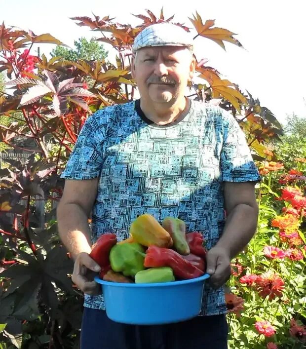 Огородное видео