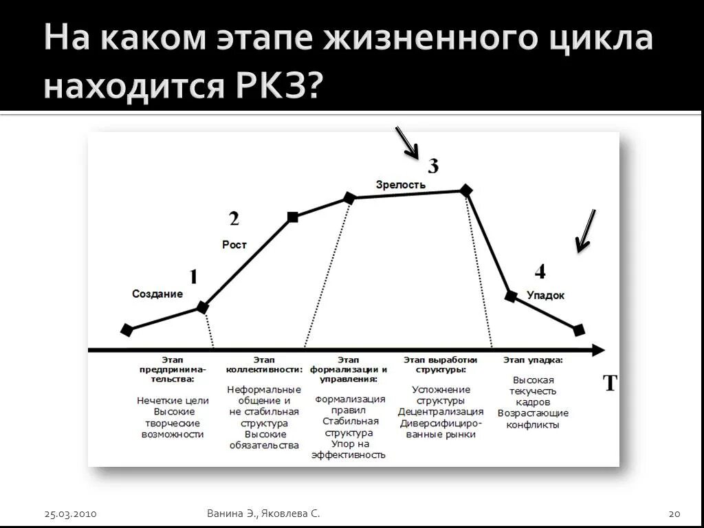 Какая стадия в жизненном цикле. Какая стадия в жизненном цикле