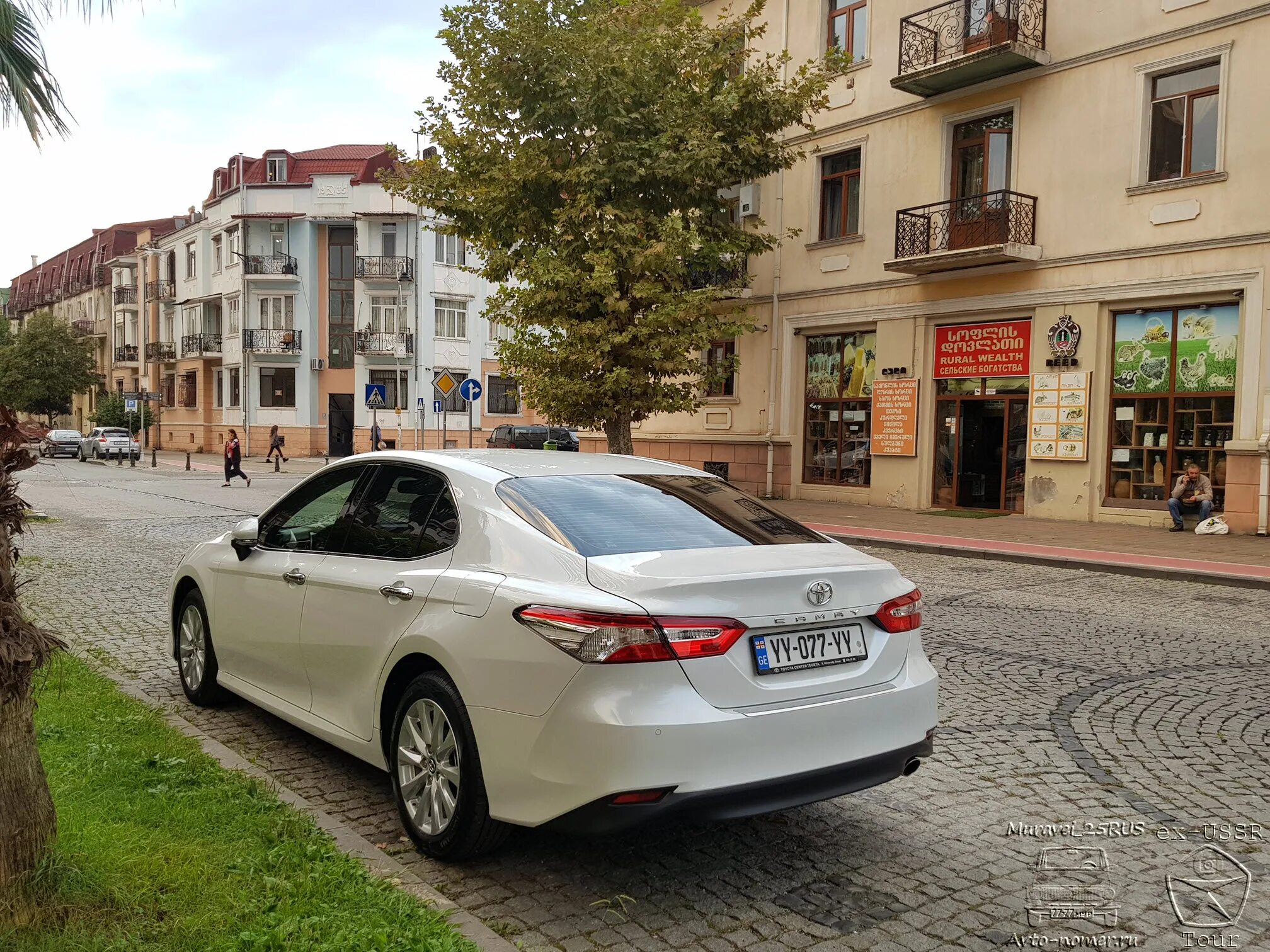 Toyota Camry Грузия. Камри на грузинских номерах. Тойота Камри 2 Грузия.