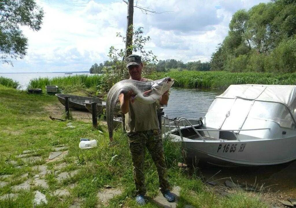 Ловли база. База Бриз Углич. Бриз Углич база отдыха. База Бриз Переяславка Хабаровск. Бриз Хабаровск база.