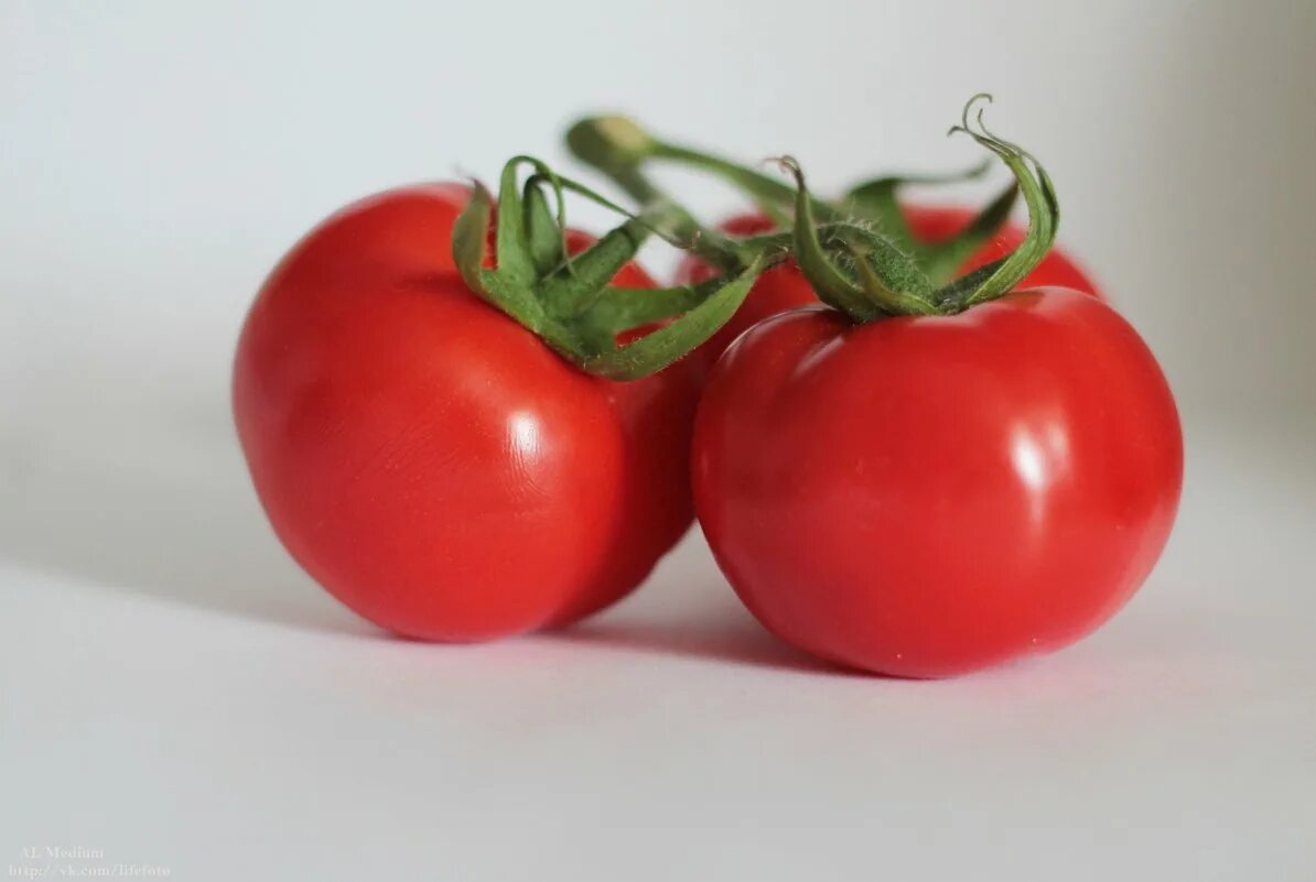 Почему мало томатов. Помидор. Маленькие помидорки. Красный помидор. Помидор картинка.