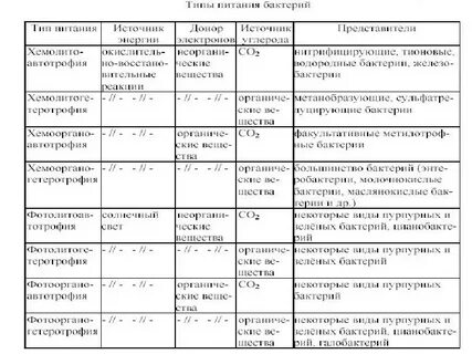 Получение энергии бактериями