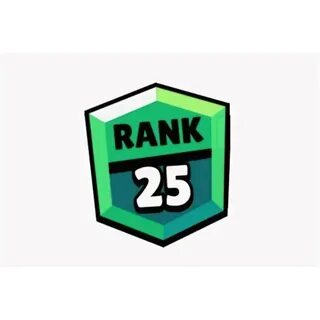 Playerok1net