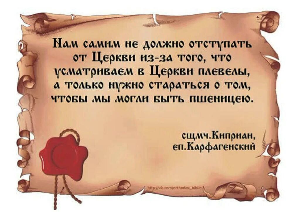 Мудрые высказывания о жизни. Мудрые мысли на каждый день. Мудрость жизни. Мудрые высказывания о счастье. Мудрые мысли о счастье.