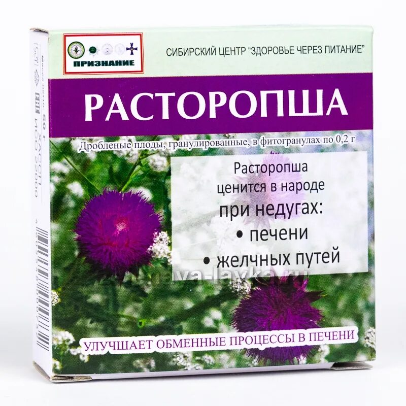 Расторопша Дикая. Расторопша растение. Расторопша пятнистая. Расторопши для печени.