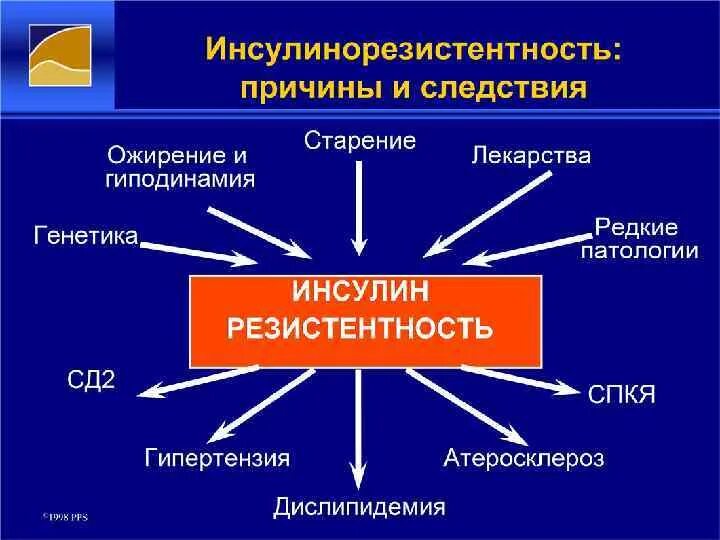 Инсулинорезистентность. Инсулинорезистентность диета. Лекарство от инсулинорезистентность. Инсулинорезистентность внешние признаки. Причины инсулинорезистентности.