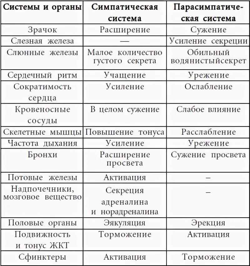 Читать курпатова панические атаки. Сравнение симпатической и парасимпатической нервной системы таблица. Функции симпатического и парасимпатического отделов таблица. Сравнительная характеристика симпатической и парасимпатической. Симпатическая и парасимпатическая нервная система таблица.