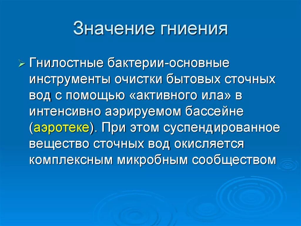 Значение гниения. Бактерии гниения. Гнилостные микроорганизмы.