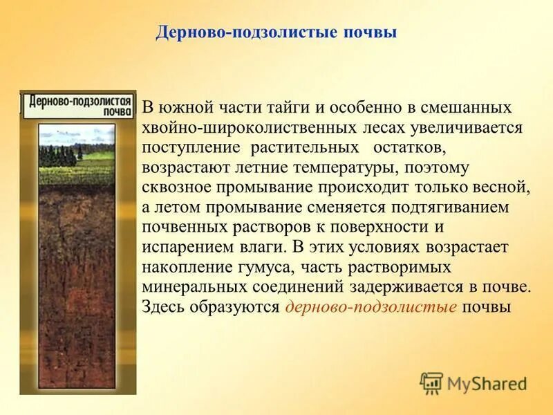 Дерново-подзолистые почвы типы почв. Таежная подзолистая почва. Подзолистые и дерново-подзолистые почвы тайги. Дерново-подзолистые плодородие. Растительный мир подзолистых почв.