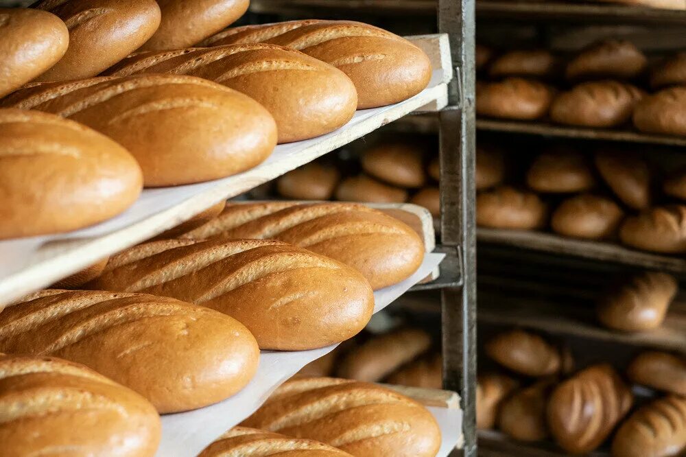 Хлеб в печи. Пекарь хлебобулочных изделий. На хлебозаводе выпекают батоны. Выпечка хлеба на хлебозаводе. Цех хлебобулочных изделий.