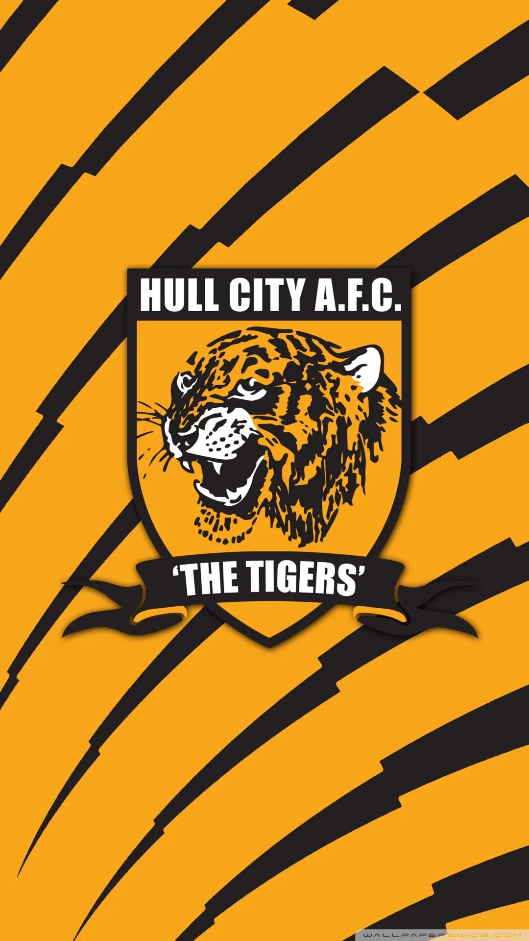 Hull city. Халл Сити. ФК Халл Сити. Эмблема Халл Сити. Hull City форма 2021.