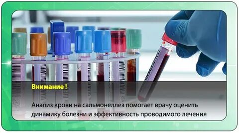 Исследование кала на сальмонеллы
