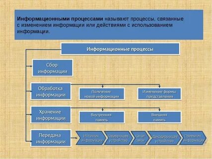 Информационные процессы определения и понятия