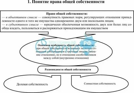 Общая долевая это