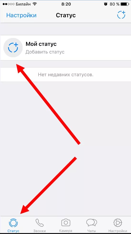 Статус в ватсап на айфоне. Статус про айфон. Как поставить статус на iphone WHATSAPP. Как поставить статус в ватсапе на айфоне. Как скрыть статус на айфоне