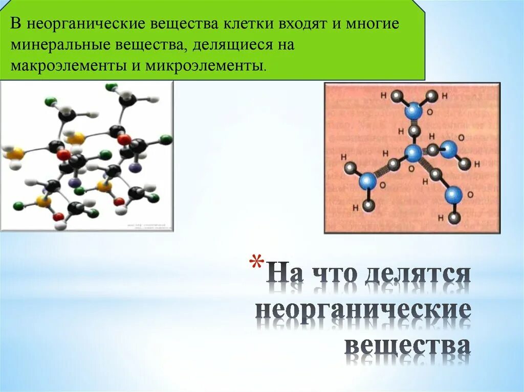 Органические и неорганические вещества клетки. Перечислить органические и неорганические соединения клетки. Что такое неорганические вещества биология 6 класс. Органические вв и неорганические. К неорганическим веществам клетки относятся.