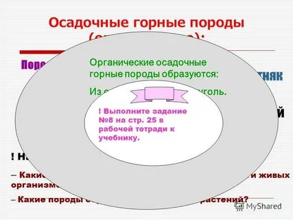 Горные породы образуют 2 класс