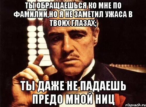 Мем в каком ты отчаянии. В каком же вы отчаянии. Обращусь снова. Обращусь снова. Надира значение имени.