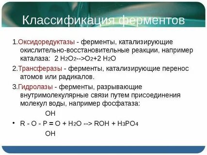 Один фермент катализирует несколько разных реакций