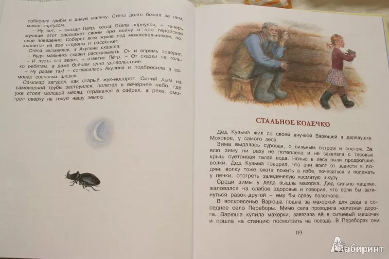 Книжка Паустовского корзинка с еловыми шишками. Паустовский корзина с еловыми шишками страницы. Шишков рассказы читать