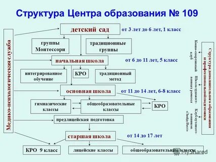 Структура центра