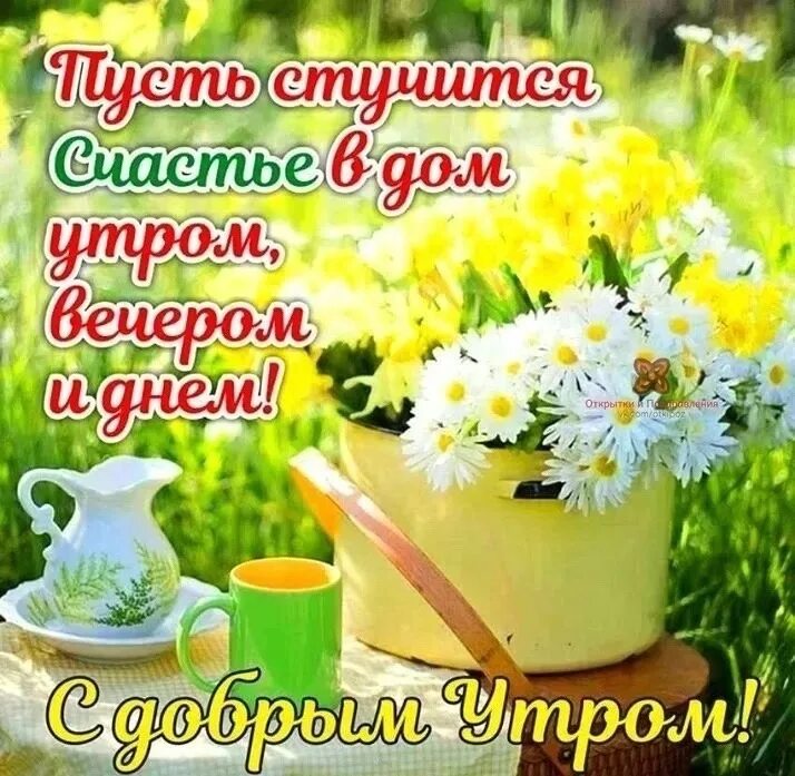 Доброе утро радость дня. С добррв. у ром здоровья. с добрым утром с пожеланиями здоровья. поздравление с добрым летним утром. радости в новом дне с добрым утром.