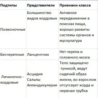 Признаки хордовых животных таблица