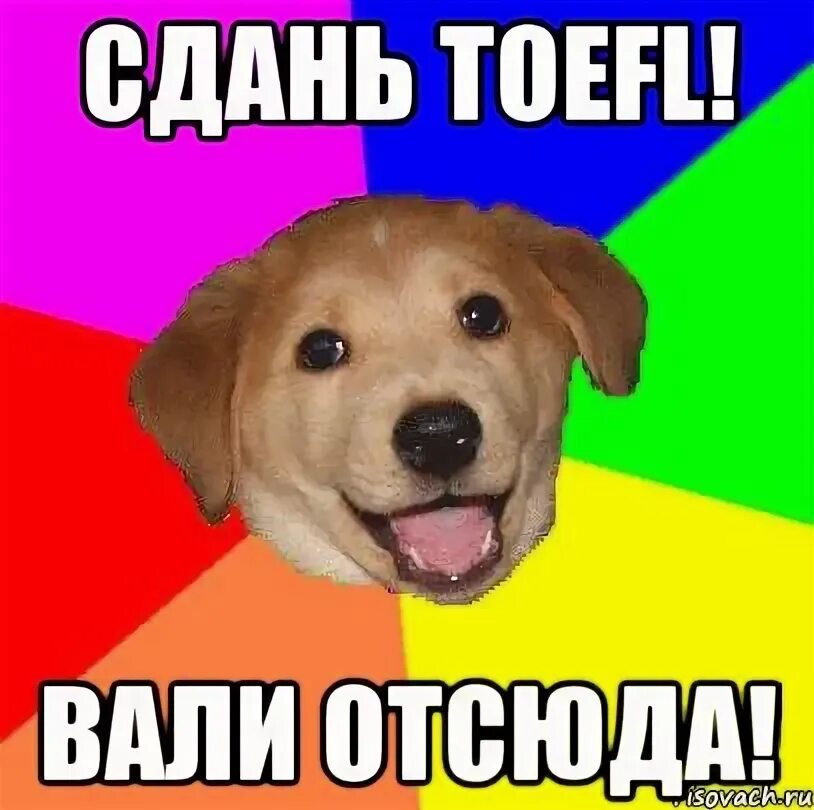 Тг дети валите отсюда. Вали отсюда. вали отсюда картинка. вали отсюда мем. сваливаем отсюда.