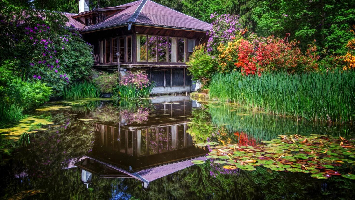 Сад на берегу реки. Домик у озера. Красивый сад с прудом. Цветы у реки. Парк лейк гарденс.