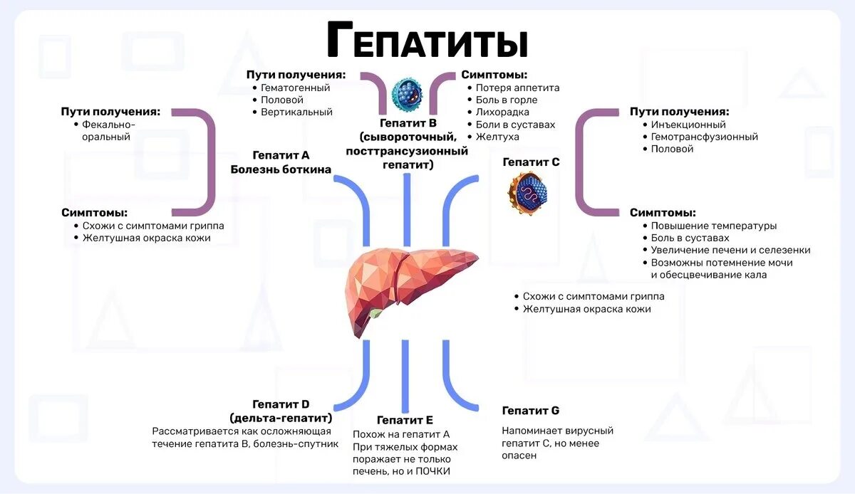 Влияние препарата на печень. Возбудитель пути передачи симптомы профилактика гепатит. Схема заражения человека вирусным гепатитом. Гепатит б что это за болезнь симптомы и причины развития заболевания. Патогенез вирусного гепатита в.