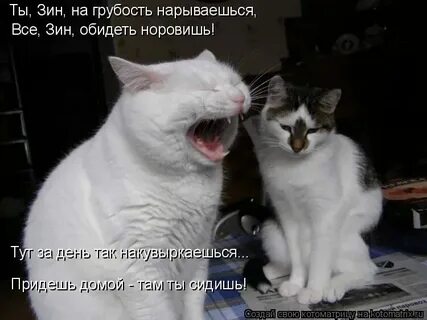 А я пришла домой слова