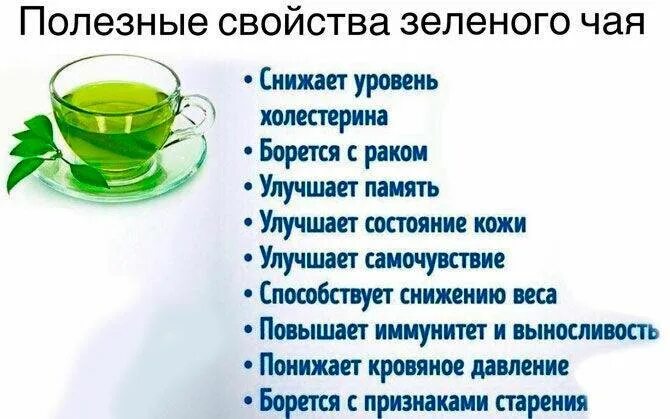 Вред зеленого чая для мужчин. Полезные качества зеленого чая. Чем полезен зеленый чай. Зелёный чай польза. Полезные свойства зелёного чая.