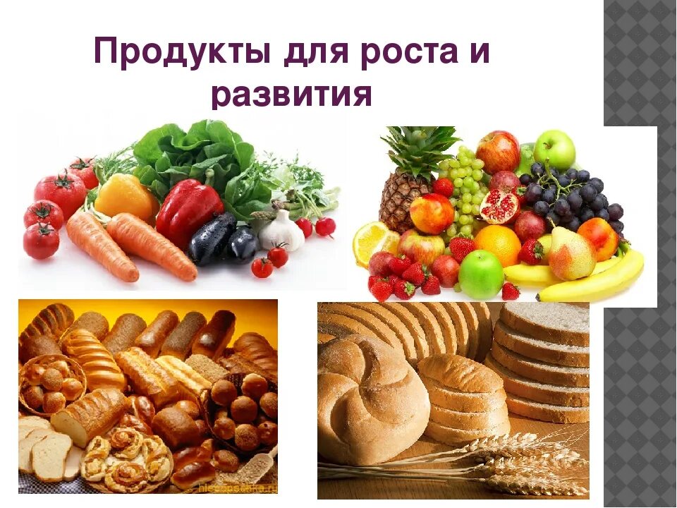 Витамин роста продукты. Продукты питания для роста. Продукты для увеличения роста. Продукты питания для роста человека. Продукты увеличивающие рост.