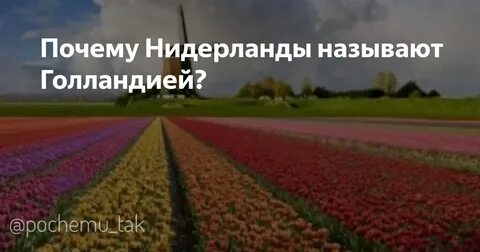 Почему нидерланды высокие