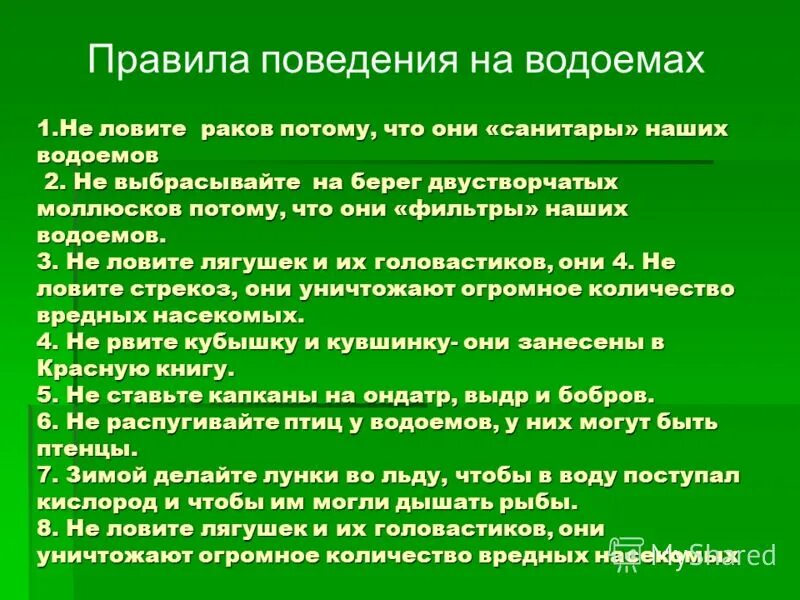 санитары пресноводных водоемов. укажите санитара пресного водоема. обитатели пресных вод. укажите санитара пресного водоема. насекомые обитатели водоемов.