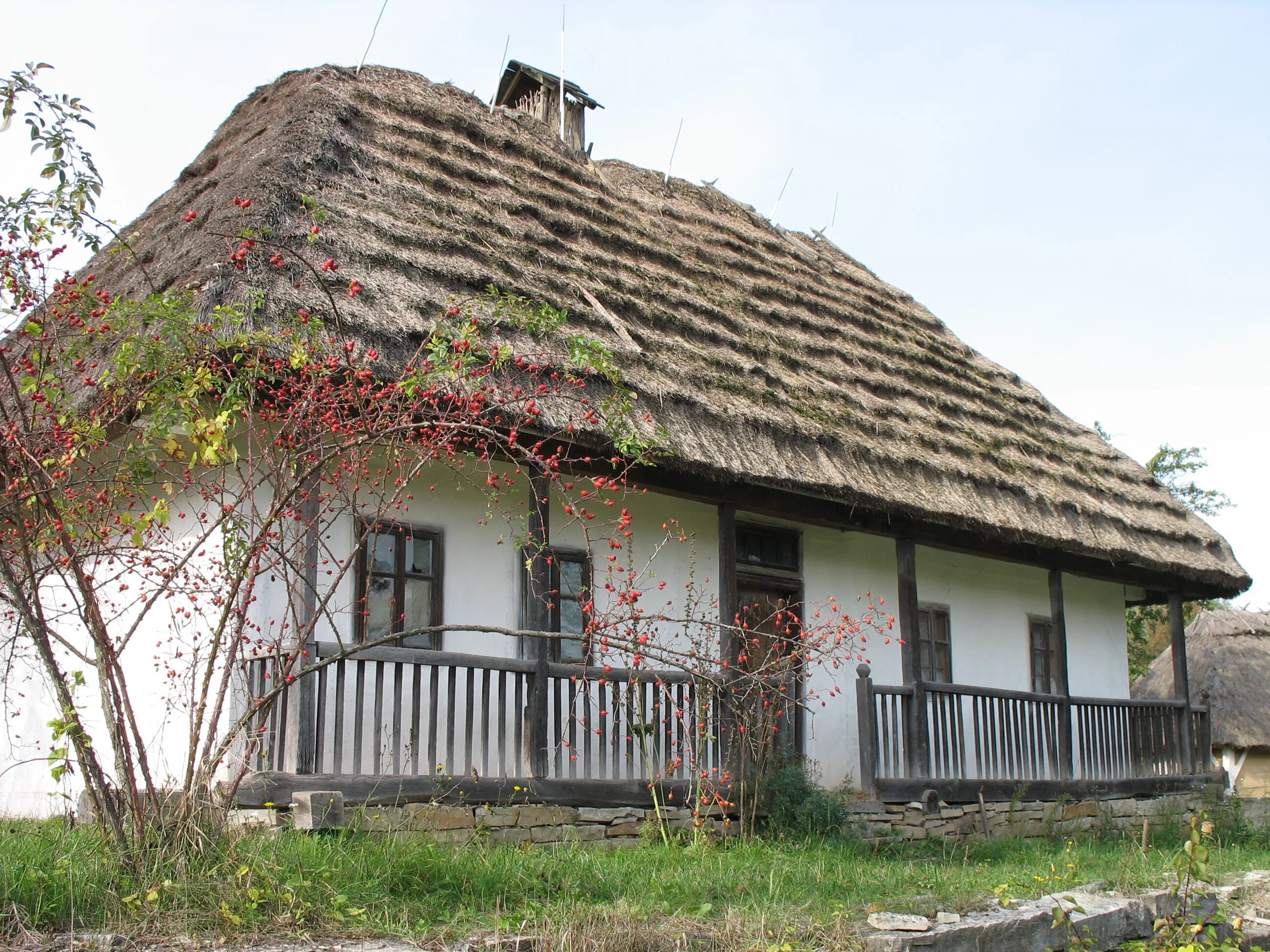 Хата. Станица вишня хаты. Купить новую хату.