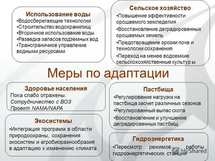 Как адаптироваться сельскому жителю в крупном городе проект 9 класс