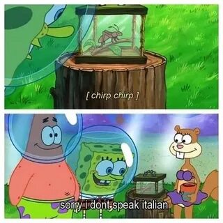 But i can t speak