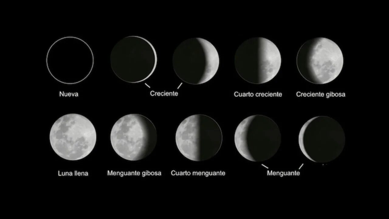 La luna falsa на русском. Бальзамическая Луна. Как выглядит Луна. Луна com. Луна плоская.