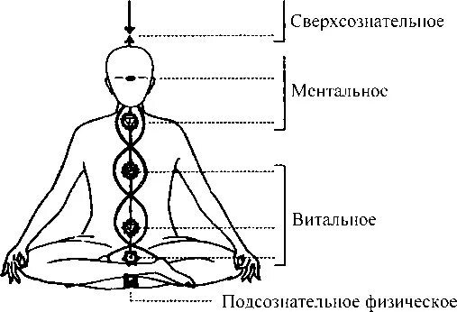 Солнечное сплетение. Солнечное сплетение схема. Чревное солнечное сплетение. Солнечное сплетение рисунок.