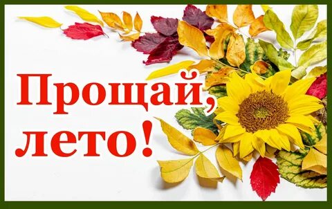 Лето прощай школа