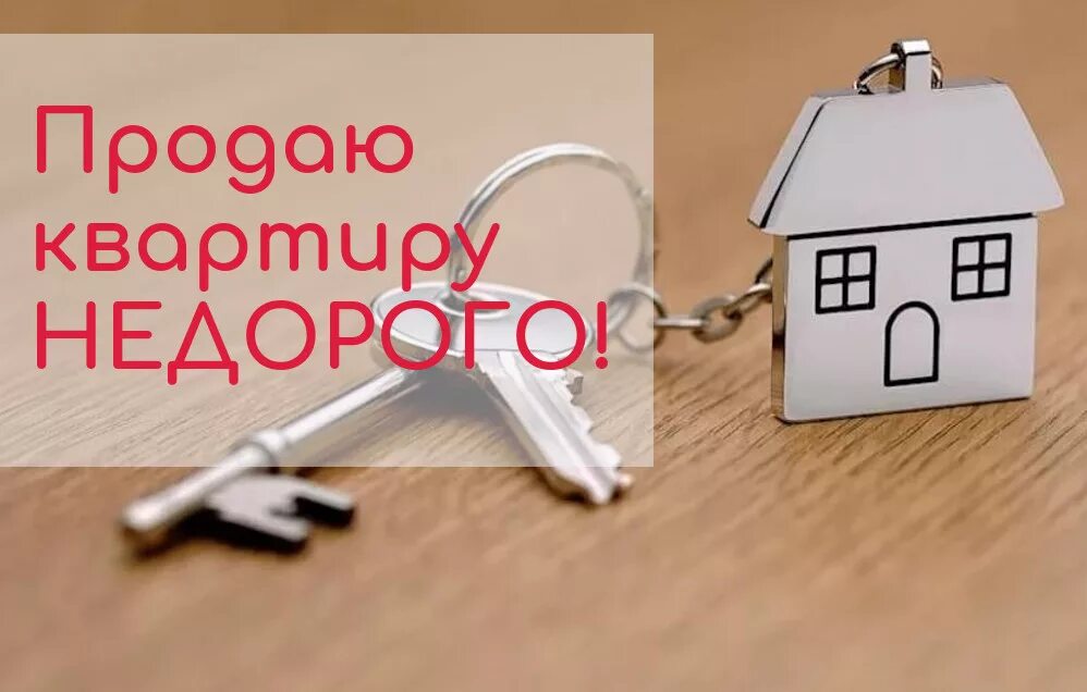 Продажа квартиры ооо. Обложка продажи квартиры. Продает собственник картинки. Продаётся кот квартира в подарок. Продается недорого.