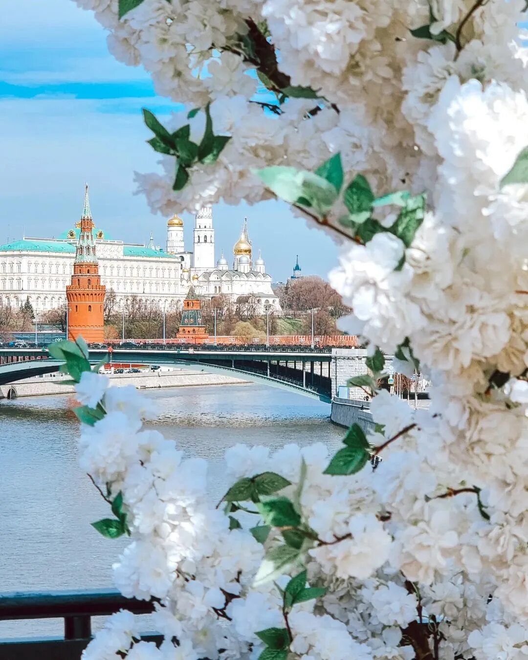Цветы в зарядье 2022. Сакура мгу. Москва в апреле фото. Это москва весной. Весенний город.
