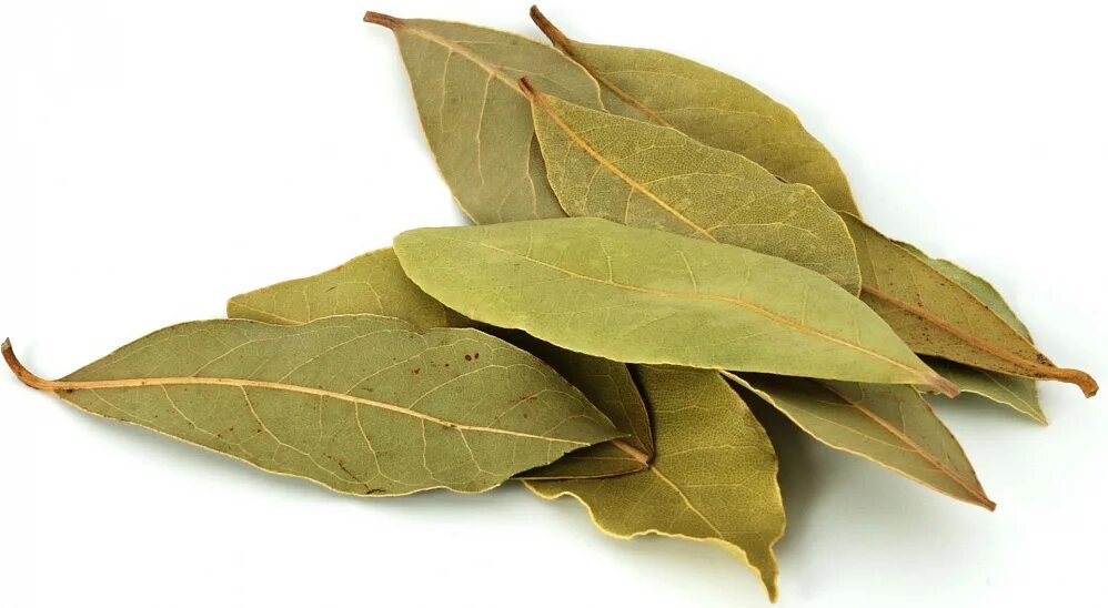 Laver leaf from allergies Take half a liter of water, 20 grams of laurel leaf, b