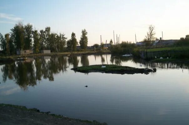 Село раисино. Погода в раисином. Раисино новосибирская область. Усадьба раисино. Нсо с убинское село раисино.
