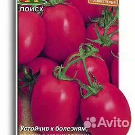 Семена помидор авито