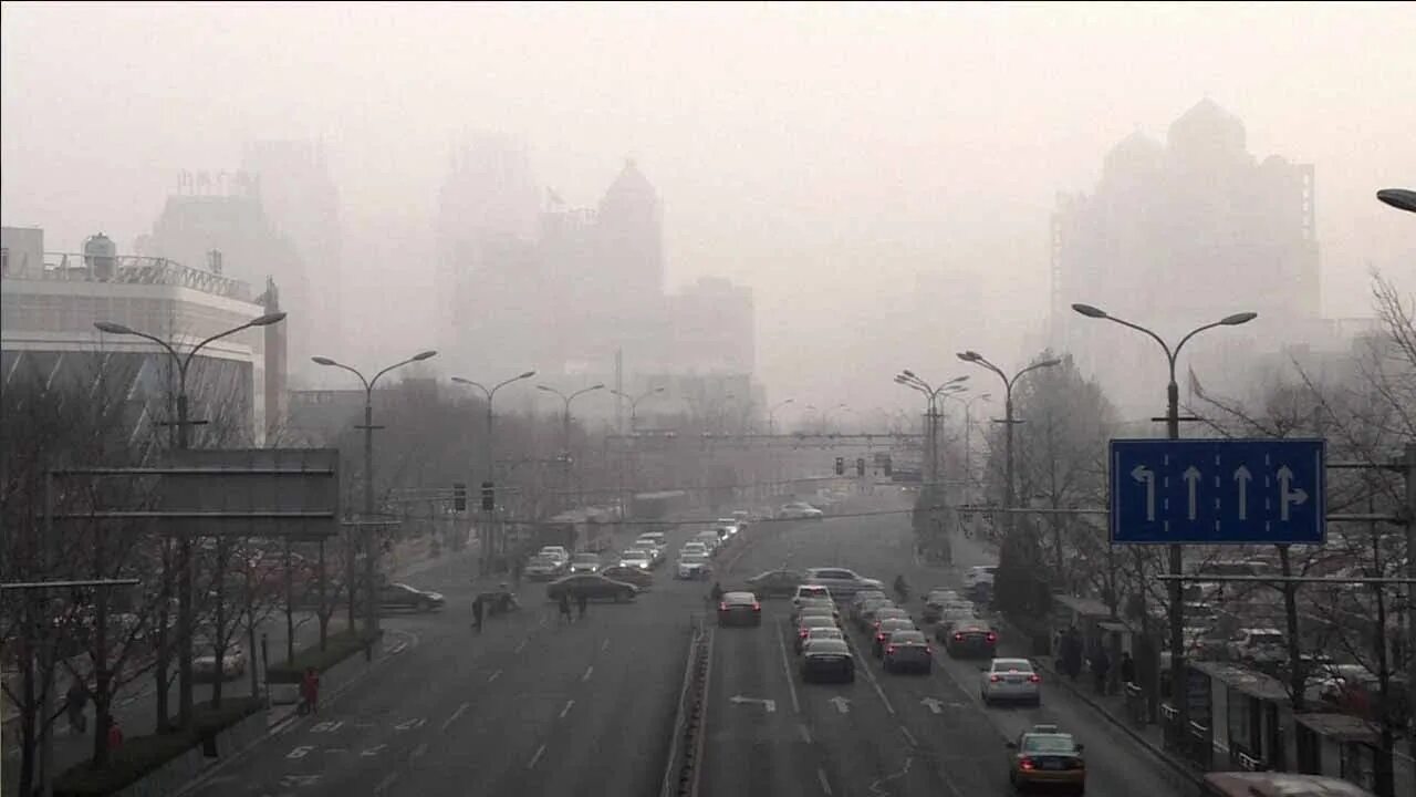 Смог том 1. Шанхай смог. Влажный смог. Одна смогу. Heavy smog.