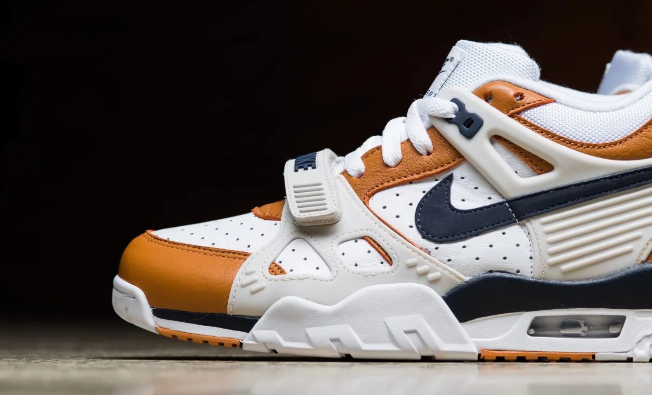 Кроссовки nike air trainer. Nike Air Trainer. Nike Air Trainer 3. Nike Air Trainer 3 Dracula. Nike Air Max Trainer.