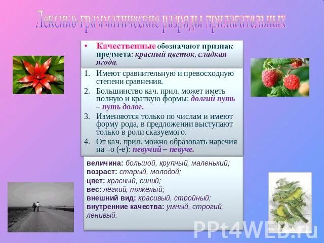 По ягоды качественные прилагательные